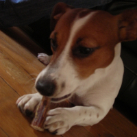 Photo de profil de Smarties
