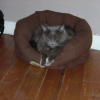 Photo de Indy