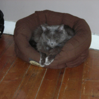 Photo de profil de Indy