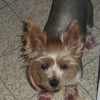 Photo de Louna