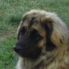 Photo de Dyzen