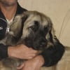 Photo de Ekinox