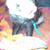 Photo de Tiwy