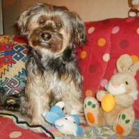 Photo de profil de Snoopy
