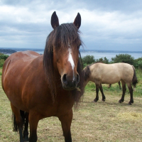 Photo de profil de Lili