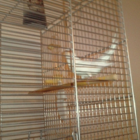 Photo de profil de Fifi