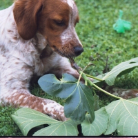 Photo de profil de Dora