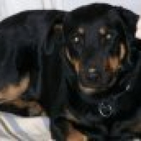 Photo de profil de Brandy