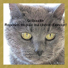 Photo de Gribouille