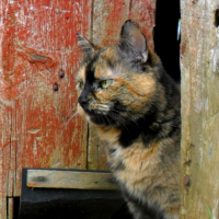 Photo de profil de Lili