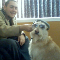 Photo de profil de Fuzzy