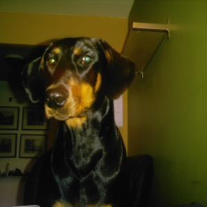 Photo de profil de Yumïe