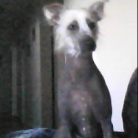 Photo de profil de Bella