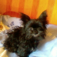 Photo de profil de Noisette