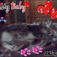 Photo de profil de Sidot