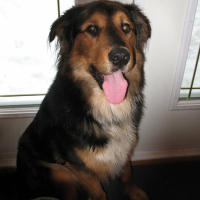 Photo de profil de Max