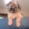 Photo de Lola
