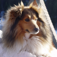 Photo de profil de Théo