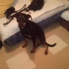 Photo de Binky