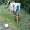 Photo de Ralph