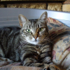 Photo de Clochette