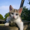 Photo de Lilou