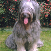 Photo de profil de Blumary des ti'bidoums