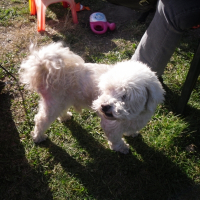 Photo de profil de Lucky