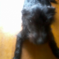 Photo de profil de Esméralda