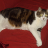 Photo de Mimine