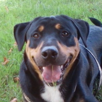 Photo de profil de Kenzo