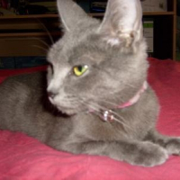 Photo de profil de Giksy