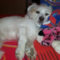 Photo de profil de Moka