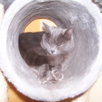 Photo de profil de Kenza