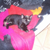 Photo de Elia