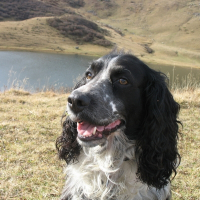 Photo de profil de Buffy