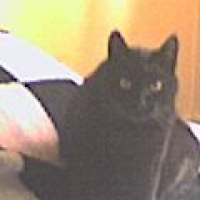 Photo de profil de Rocco