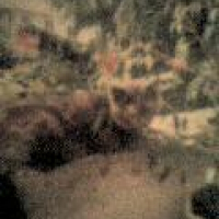 Photo de profil de Prisca