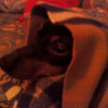 Photo de Rosy