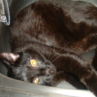 Photo de profil de Patapouf