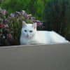 Photo de Poupette