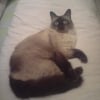 Photo de Bouba