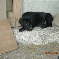 Photo de profil de Eclair