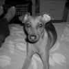 Photo de Jack