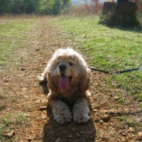 Photo de profil de Ducky