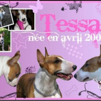 Photo de profil de Dunya dite tessa