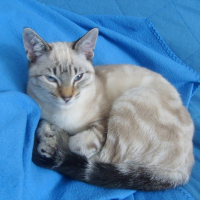 Photo de profil de E mail