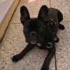 Photo de Camboui