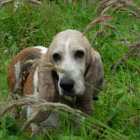 Photo de profil de Nelson