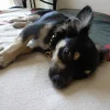 Photo de Lucky
